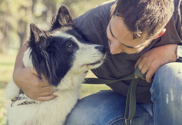 SIRIUS: Individuelle Betreuung – Hundeschule München