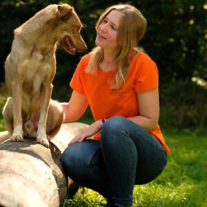 Ausbildung zum Hundetrainer - Praxisteil