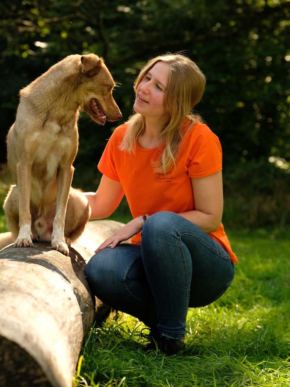 Ausbildung zum Hundetrainer - Praxisteil