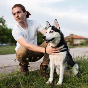 Agility und Parcouring SIRIUS Hundeschule