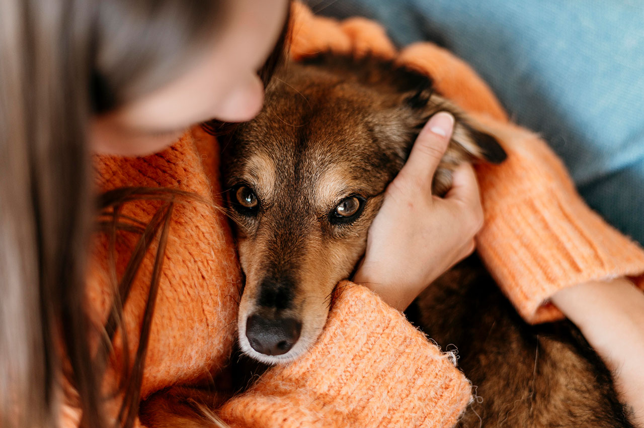 Frau umarmt ängstlichen Hund – Workshop Umwelt- und Geräuschängste