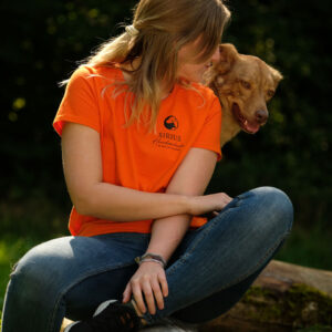 Hundetrainer Ausbildung zertifiziert und anerkannt