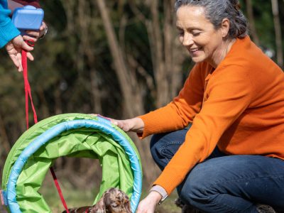 Hundeschule München bei Sirius